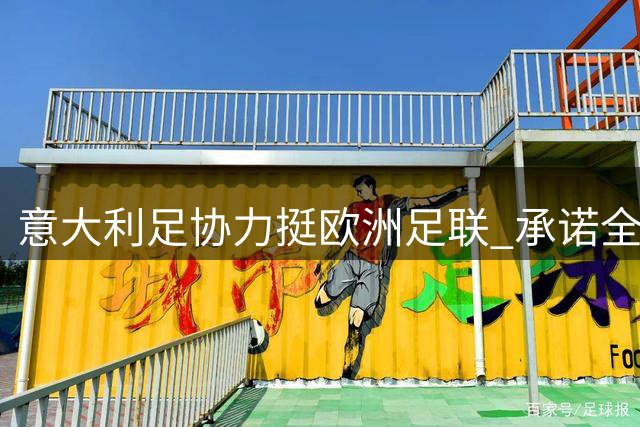 意大利足协力挺欧洲足联 承诺全力支持2032欧洲杯