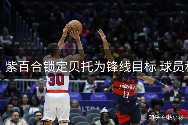 紫百合锁定贝托为锋线目标 球员积极回应转会传闻